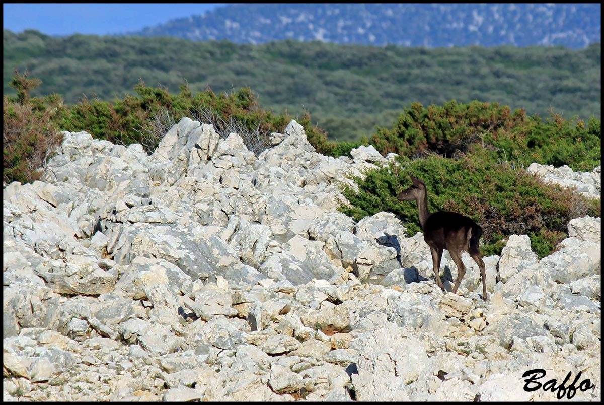 A pranzo sul mare